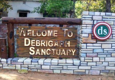 ଡେବ୍ରିଗଡ଼ରେ ସ୍ଥାପିତ ହେବ ବାଇସନ ଜାତୀୟ ଉଦ୍ୟାନ