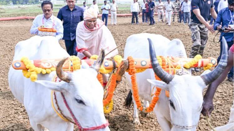 ଅକ୍ଷୟ ତୃତୀୟାରେ କଟକରେ ଅଖିମୁଠି ଅନୁକୂଳ କଲେ ମୁଖ୍ୟମନ୍ତ୍ରୀ