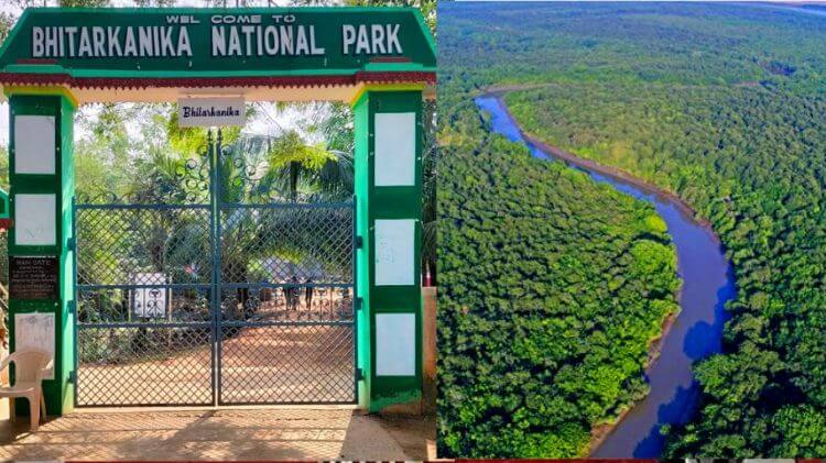 ମେ ୧ ତାରିଖରୁ ପର୍ଯ୍ୟଟକଙ୍କ ପାଇଁ ବନ୍ଦ ରହିବ ଭିତରକନିକା ଜାତୀୟ ଉଦ୍ୟାନ