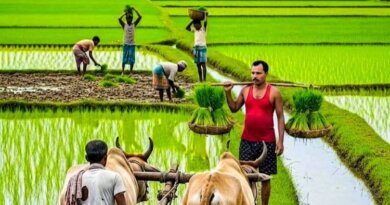 ଚାଷୀଙ୍କୁ ୧୧,୫୦୦ କୋଟିର ଋଣ ପ୍ରଦାନ କରିବାକୁ ଲକ୍ଷ୍ୟ ଧାର୍ଯ୍ୟ କଲେ ସରକାର