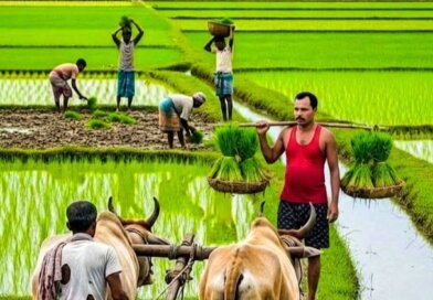 ଚାଷୀଙ୍କୁ ୧୧,୫୦୦ କୋଟିର ଋଣ ପ୍ରଦାନ କରିବାକୁ ଲକ୍ଷ୍ୟ ଧାର୍ଯ୍ୟ କଲେ ସରକାର