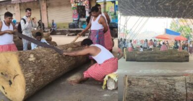 ଆଜିଠୁ ଆରମ୍ଭ ହେଲା ଘୋଷଯାତ୍ରା ପାଇଁ ରଥ ନିର୍ମାଣ