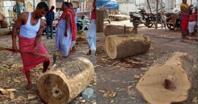 ପୁରୀ ରଥଖଳାରେ ରଥ ନିର୍ମାଣ କାର୍ଯ୍ୟ: ୪୨ ତୁମ୍ବ ନିର୍ମାଣ ସମ୍ପନ୍ନ