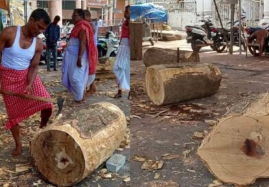 ପୁରୀ ରଥଖଳାରେ ରଥ ନିର୍ମାଣ କାର୍ଯ୍ୟ: ୪୨ ତୁମ୍ବ ନିର୍ମାଣ ସମ୍ପନ୍ନ