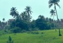 ଜୁନ୍ ୧ ରେ କେରଳ ଛୁଇଁବ ଦକ୍ଷିଣ-ପଶ୍ଚିମ ମୌସୁମୀ ବାୟୁ