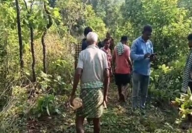 ଜଙ୍ଗଲରେ ପଡିଛି ୨ଟି କ୍ଷତାକ୍ତ ଗୋଡ଼, ବାଘ ଆକ୍ରମଣର ଆଶଙ୍କା