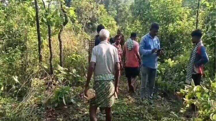 ଜଙ୍ଗଲରେ ପଡିଛି ୨ଟି କ୍ଷତାକ୍ତ ଗୋଡ଼, ବାଘ ଆକ୍ରମଣର ଆଶଙ୍କା