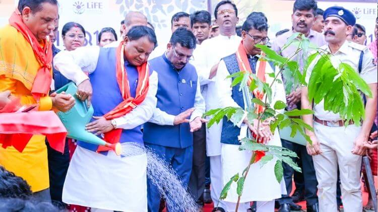 ବନ ସୁରକ୍ଷାରେ ଓଡ଼ିଶା ଦେଶରେ ତୃତୀୟ, ସବୁଜ ଓଡ଼ିଶା ପାଇଁ ମୁଖ୍ୟମନ୍ତ୍ରୀଙ୍କ ଆହ୍ୱାନ