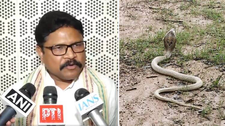 ହସ୍ପିଟାଲରେ ସାପ କାମୁଡା ଇଞ୍ଜେକସନ ପର୍ଯ୍ୟାପ୍ତ ମହଜୁଦ ରଖିବାକୁ ନିର୍ଦ୍ଦେଶ