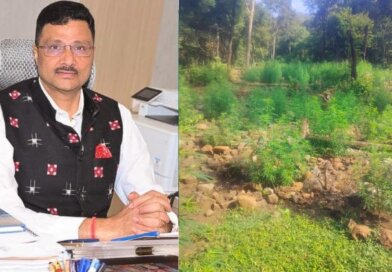 ସରକାରୀ ଜମିରେ ଗଞ୍ଜେଇ ଚାଷ କଲେ ନିଆଯିବ କଡା କାର୍ଯ୍ୟାନୁଷ୍ଠାନ