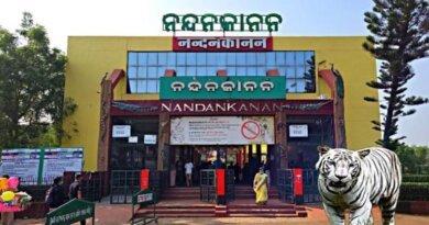 ନନ୍ଦନକାନନକୁ ଆସିଲେ ୧୪ ପ୍ରଜାତିର ୫୮ ବିଦେଶୀ ବନ୍ୟଜନ୍ତୁ