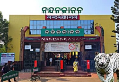 ନନ୍ଦନକାନନକୁ ଆସିଲେ ୧୪ ପ୍ରଜାତିର ୫୮ ବିଦେଶୀ ବନ୍ୟଜନ୍ତୁ