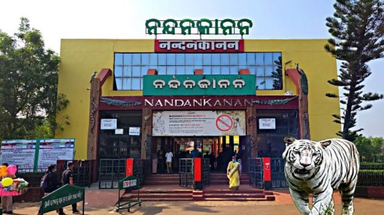 ନନ୍ଦନକାନନକୁ ଆସିଲେ ୧୪ ପ୍ରଜାତିର ୫୮ ବିଦେଶୀ ବନ୍ୟଜନ୍ତୁ