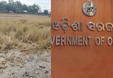 ଫସଲ ବୀମା ଅବହେଳା: ୬ ଜିଲ୍ଲାର ଏଡିଏମଙ୍କୁ କାରଣ ଦର୍ଶାଅ ନୋଟିସ୍