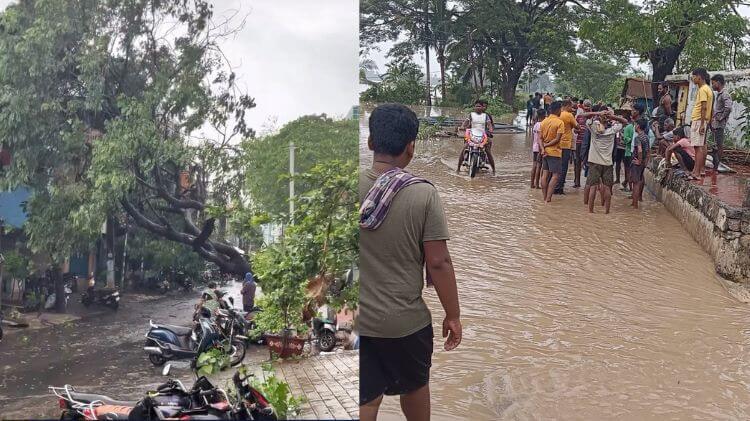 ଅର୍ଣ୍ଣବ ପ୍ରଭାବରେ ଦକ୍ଷିଣ ଓଡିଶାରେ ବନ୍ୟା : ୪୮ ହଜାରରୁ ଅଧିକ ସ୍ଥାନାନ୍ତରିତ, ୯ ଟ୍ରେନ୍ ବାତିଲ୍